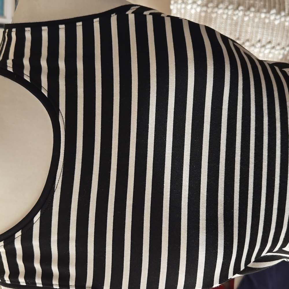 NWT Banana Republic Black/White Stripe Knit Dress Size 2 - Picture 3 of 9